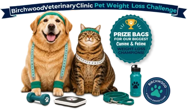 Dog and cat wearing exercise clothing underneath a banner promoting the Pet Weight Loss Challenge