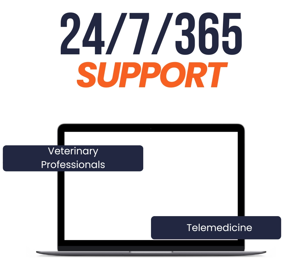 24/7/265 Support.