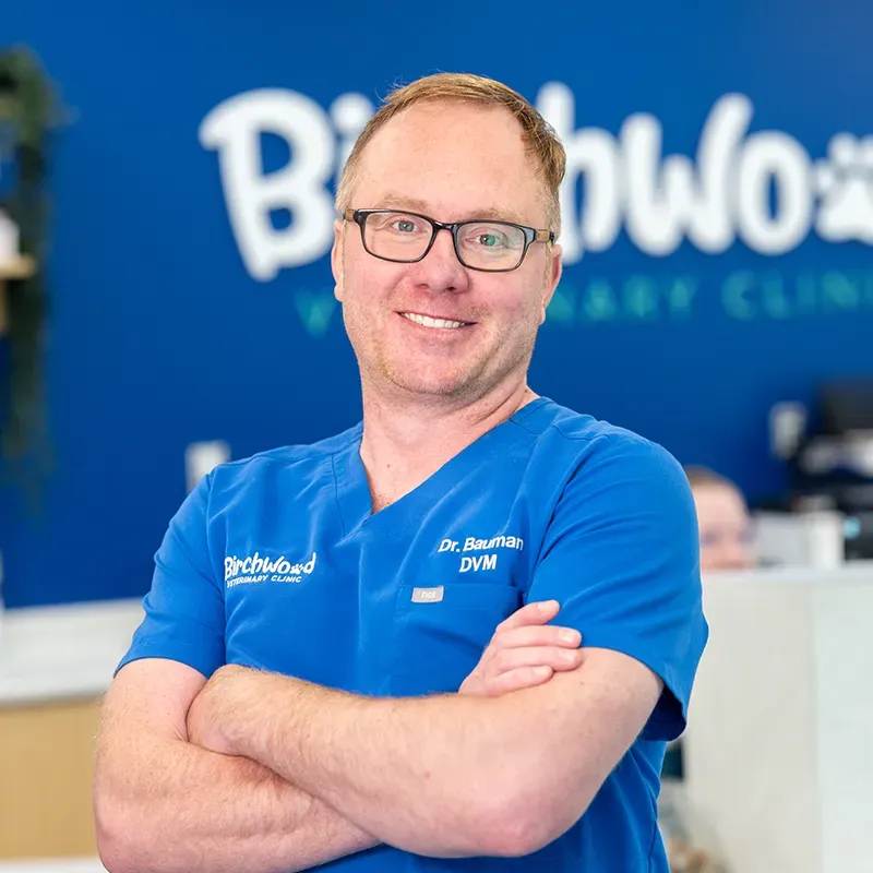 Dr Ben Bauman