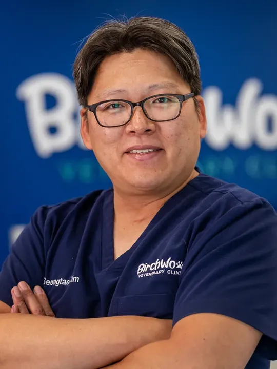 Dr Seongtae Kim