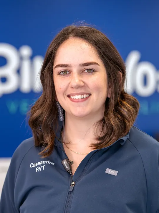 Cassandra