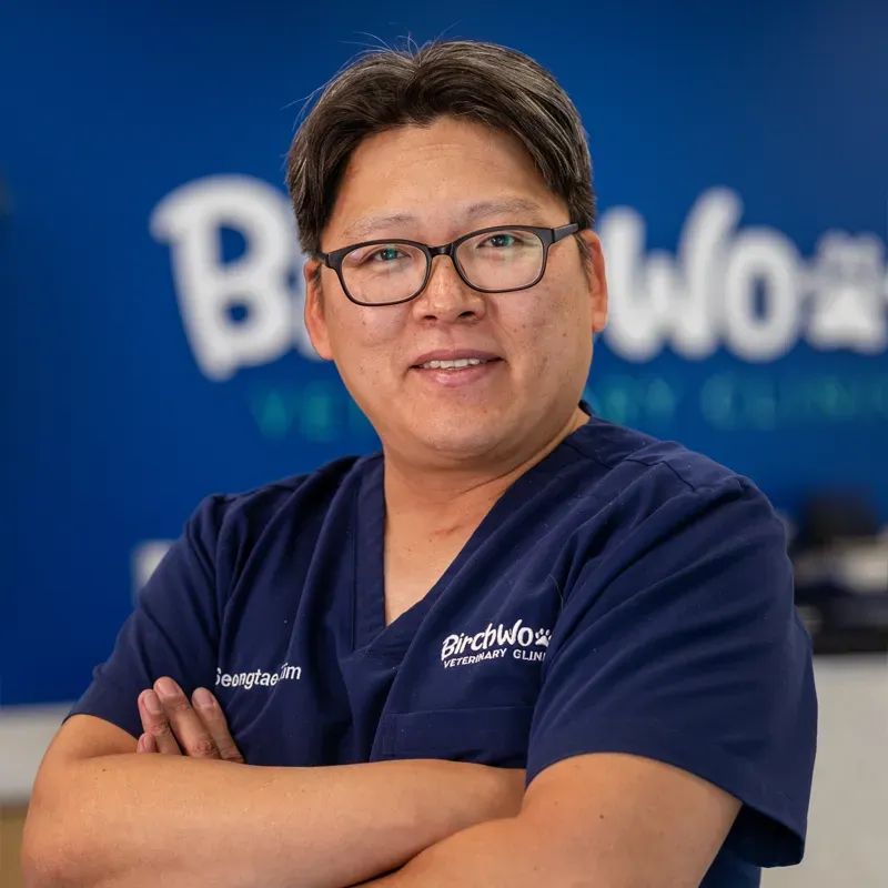 Dr Seongtae Kim