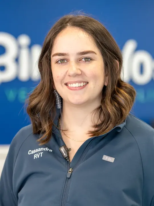 Cassandra
