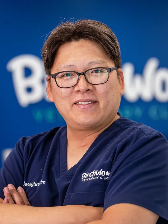 Dr. Kim