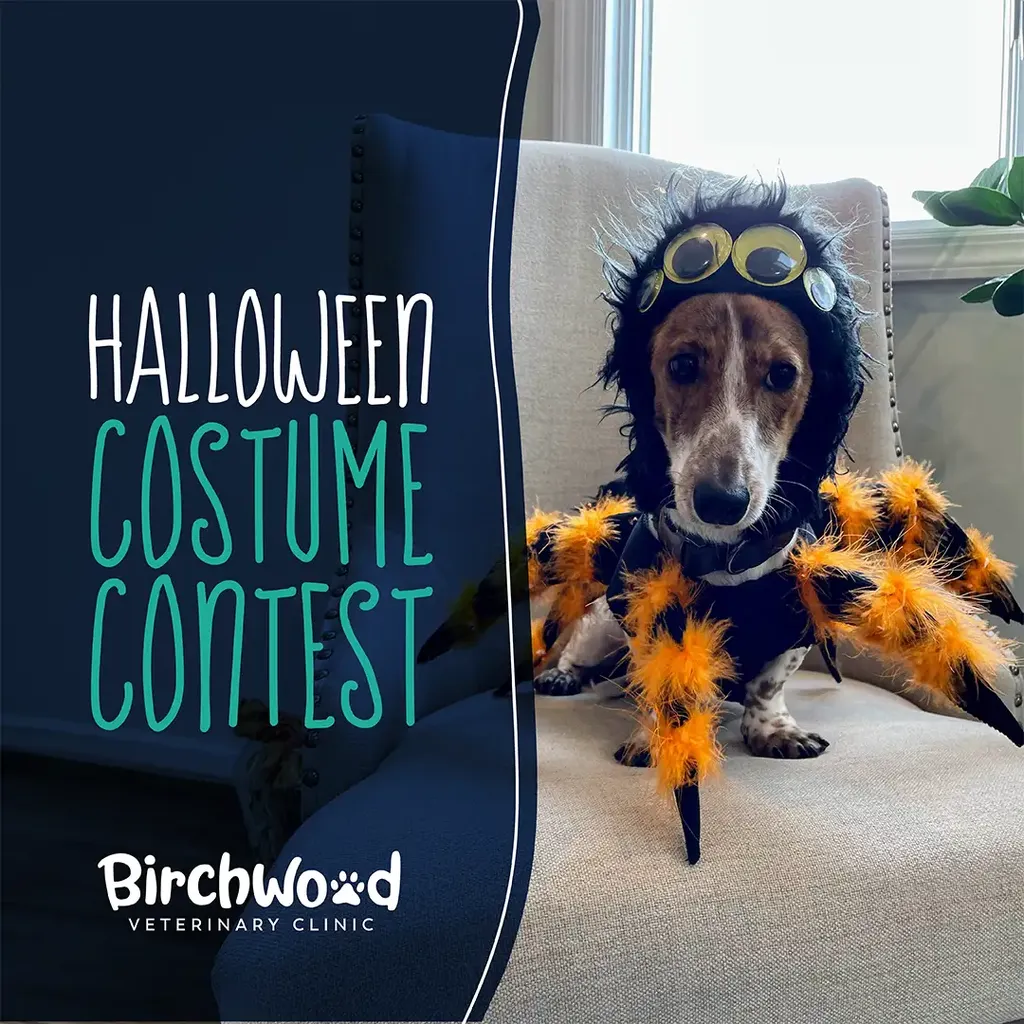 Birchwood’s Best Dressed!
