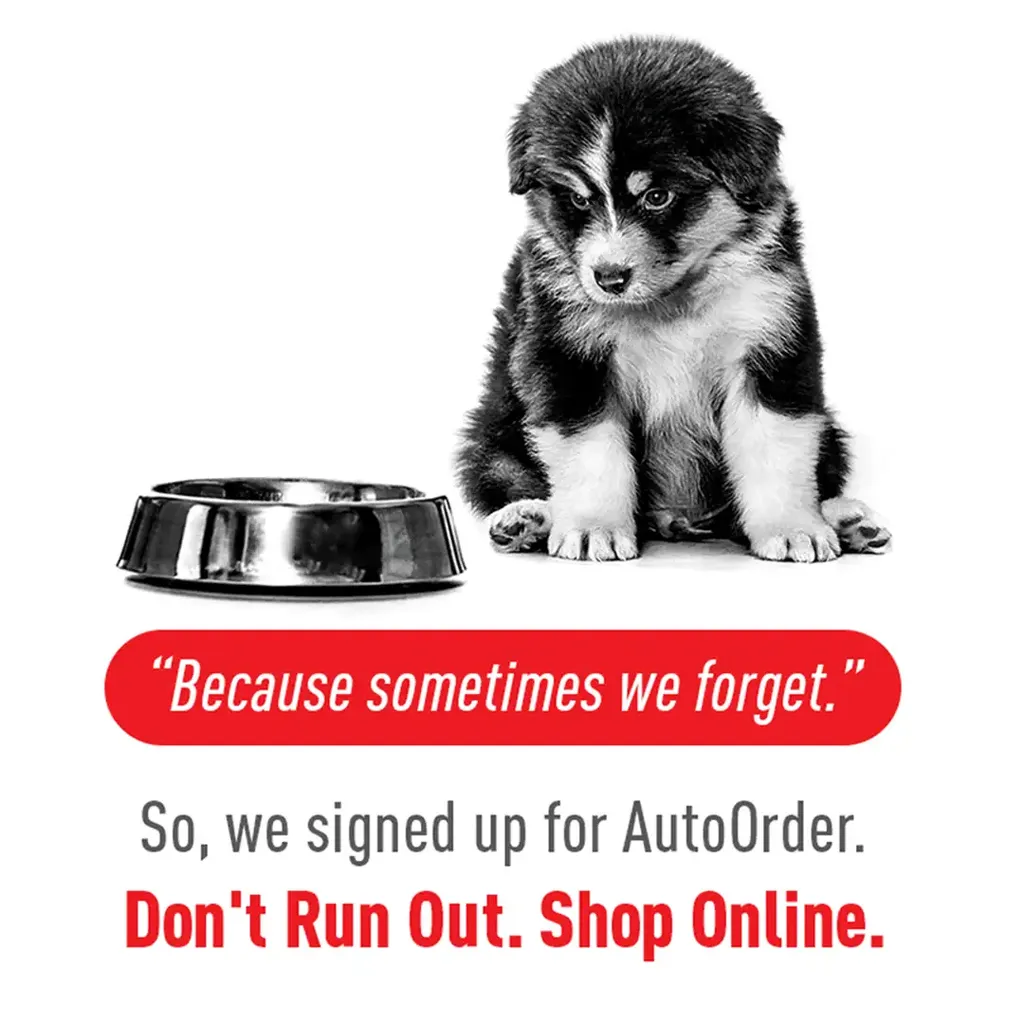 AutoOrder Discounts – Probiotics