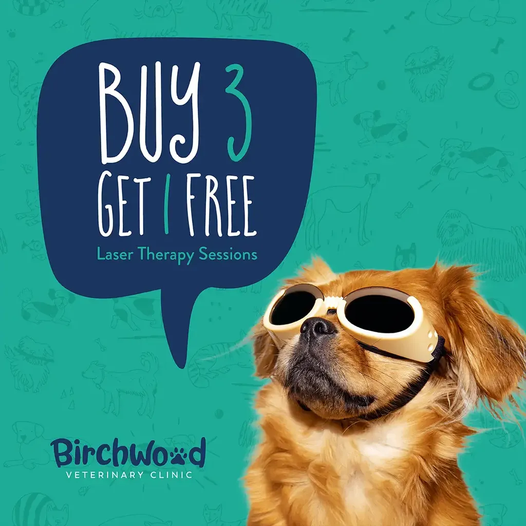 Buy 3, Get 1 Free