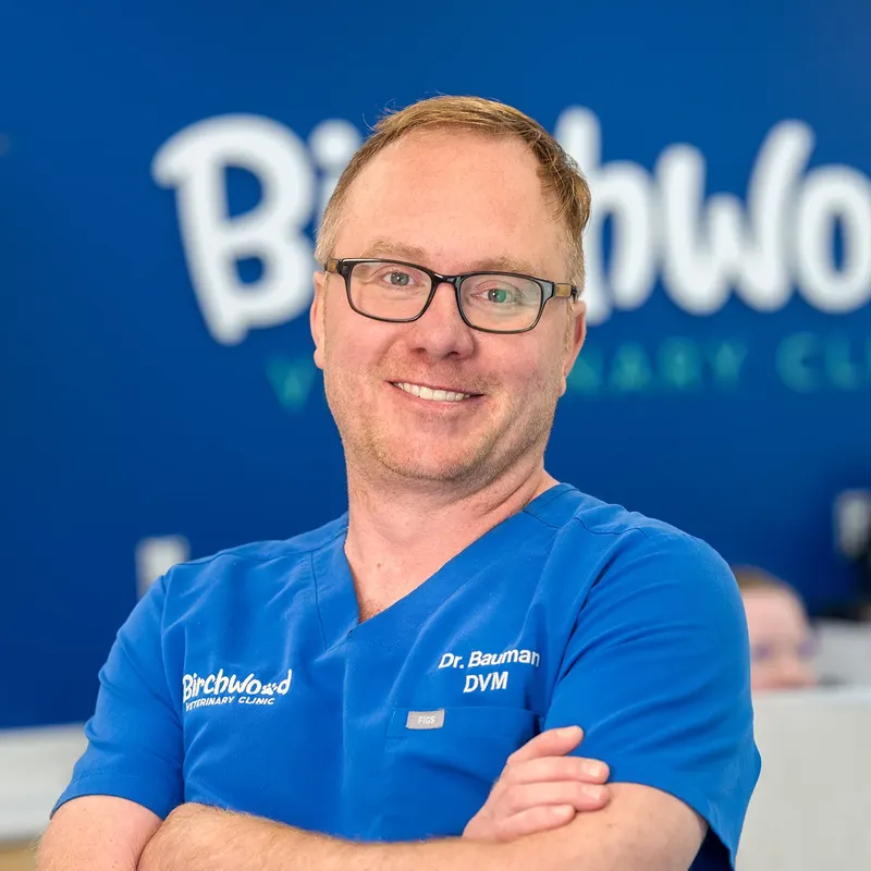 Dr. Bauman