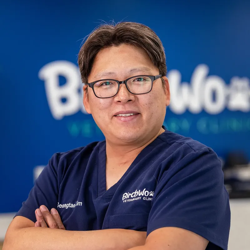 Dr. Kim